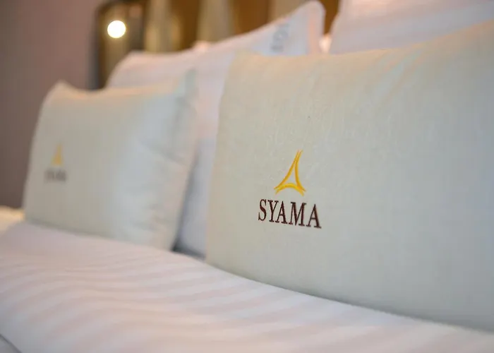 Syama Nana Hotel 4*